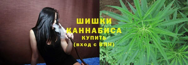бошки Верхний Тагил