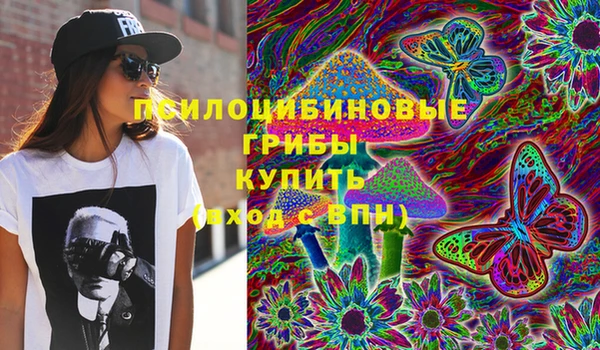 бошки Верхний Тагил